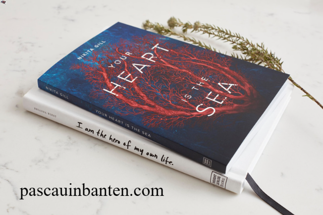 Cara Mengajarkan Novel Studies